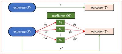 How can childhood maltreatment affect post-traumatic stress disorder in adult: Results from a composite null hypothesis perspective of mediation analysis